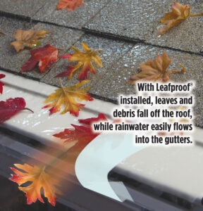 Focus Pest Managemnt Gutter Protection - Leafproof Gutter Guard - Focus 